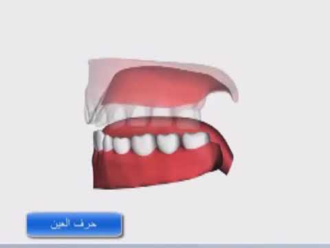نطق حرف العين بطريقة الأبعاد الثلاثية جمال القرش