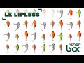 Wiki pche  tout savoir sur le lipless