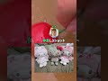 【速報】サンリオから謎の荷物が届くwwwwwwwww #2ch #shorts
