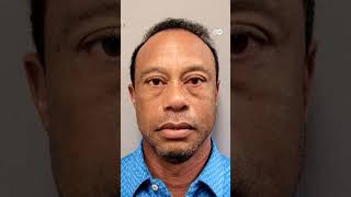टइगर वडस क खतरनक एकसडट, गरफतर हए Tiger Woods Got Arrested For Intoxicated Driving