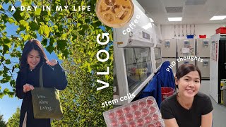 Productive day in the life of a Research Assistant at Cambridge | cafe, cell culture & PhD thoughts