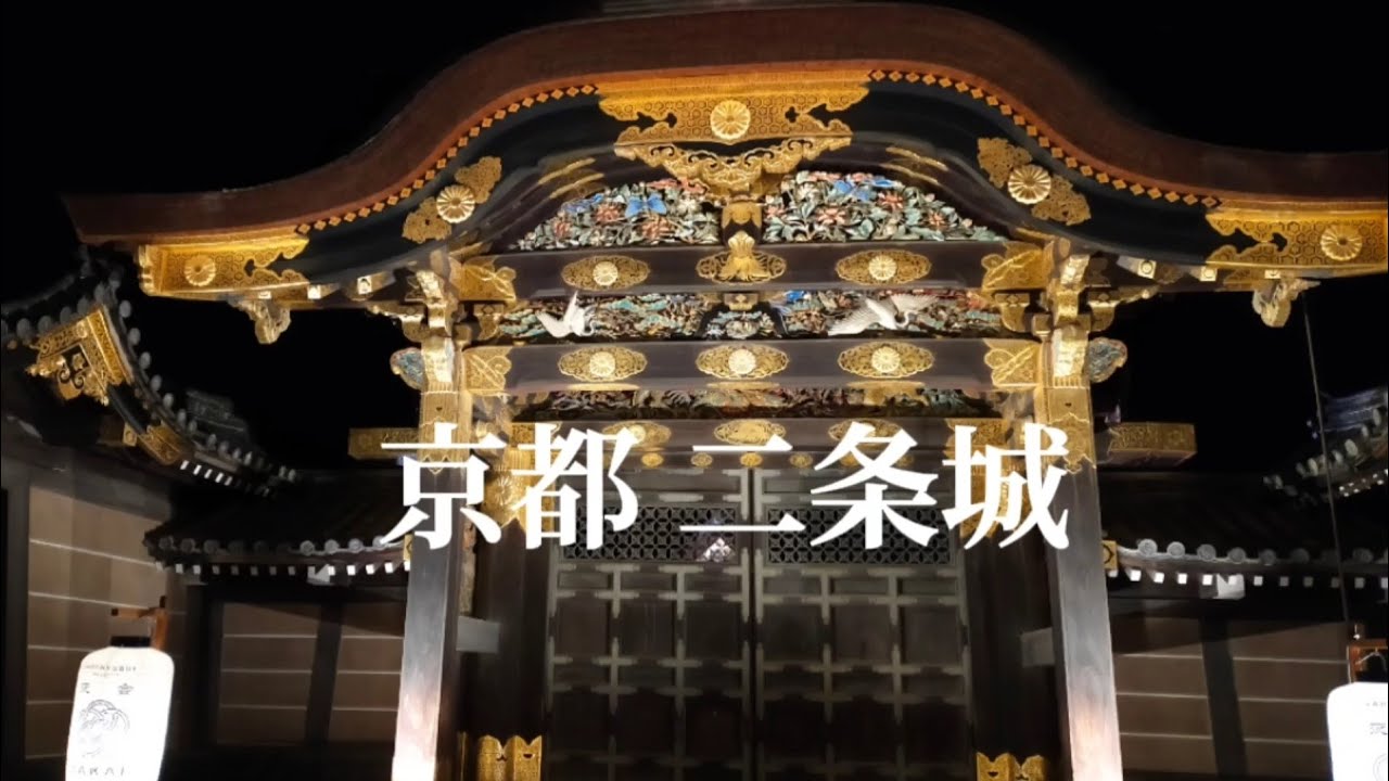 モンロー 城景都 Y152