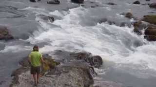 Hoh River at Oxbow Campground