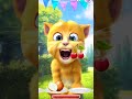 Talking ginger gameplay 😂 funny cat video 📷 #talkingtomversion #cat #talkingtom