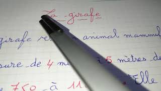 Production écrite sur un animal sauvage" la girafe " 5 Ap c'est important ♥