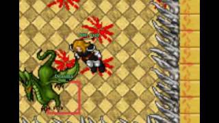 Tibia Scrapper arena.