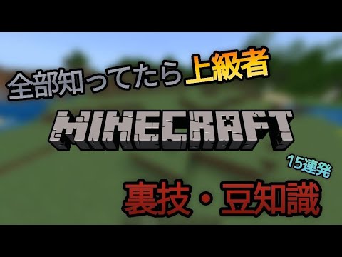 マイクラ裏技・豆知識15選！#マイクラ#マイクラSwitch#マイクラ統合版
