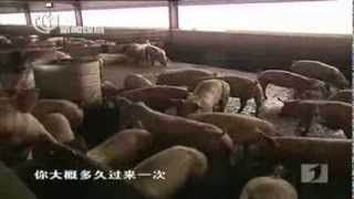 中国版60 Minutes《1/7》20130505完整版视频