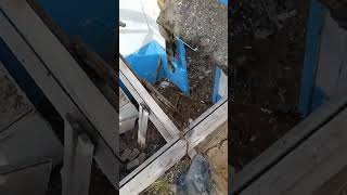 демонтаж комнаты снос стенок