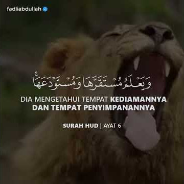 Qs hud ayat 6