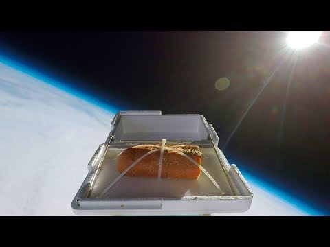 We Sent Garlic Bread to the Edge of Space, Then Ate It