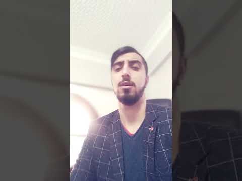 seyyid taleh seslerem kerbubela montaj2019