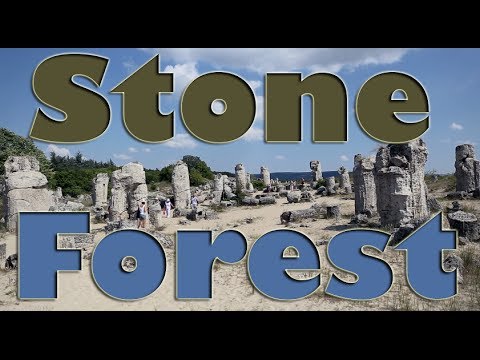 Stone Forest - Pobiti Kamani, Bulgaria