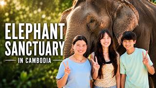 No Riding, No Chains — What a Real Elephant Sanctuary Looks Like (Siem Reap, Cambodia)