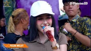 Download lagu PECAK WELUT SELIYA MARSELA CANDA KIRANA LIVE CIMAHI KUNINGAN