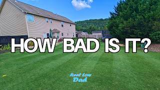 3 Years Of Neglect | How Bad Did The Lawn Get??