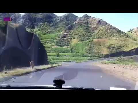 البارعي حسين محمد العروي