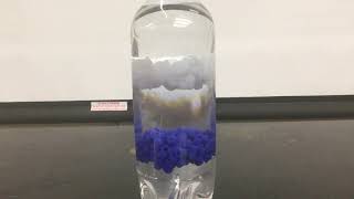 2B40.54: Poly Density Bottle