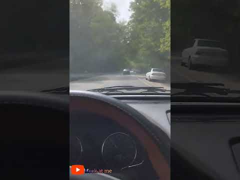 مگه نمگم سابسکراب کنین تا ویدیو براتون ارسال بشه    طبیعت 