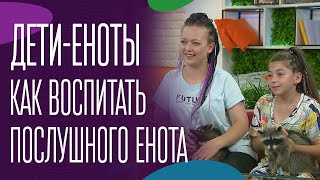 Дети-еноты. Как воспитать послушного енота