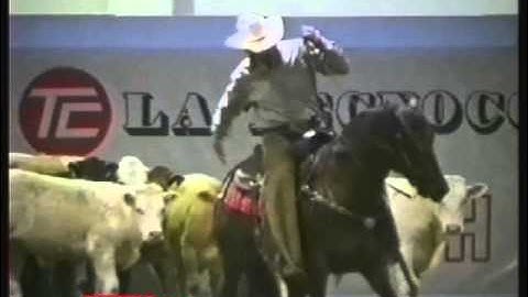 RDVideo - Acres Of Time - Quarter horse stallion 1996
