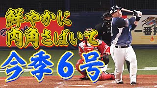 【レアライナー】中村剛也『鮮やかに内角さばいて』今季6号HR