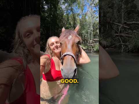 Horse Swimming - Ozzy Man Quickies