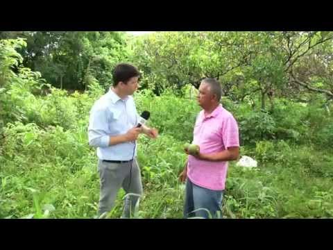 Adriano Soares reportagem É Bem Mato Grosso Frango com pequi tv calidad