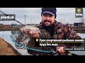 Урок спортивной рыбалки зимой: пруд без льда. Алексей Ивашков. Anglers Practical