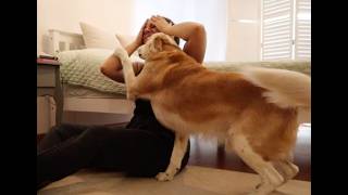 Hitting myself prank on my dog | He's very protective