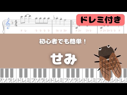 せみ