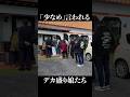 「少なめ」言われるデカ盛り娘たち #shorts