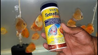 Tetra Bits Complete 93 Gram - Pelet Pakan Makanan Ikan Hias Aquarium