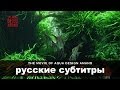 ADAview THE MOVIE OF AQUA DESIGN AMANO Side Concept русские субтитры