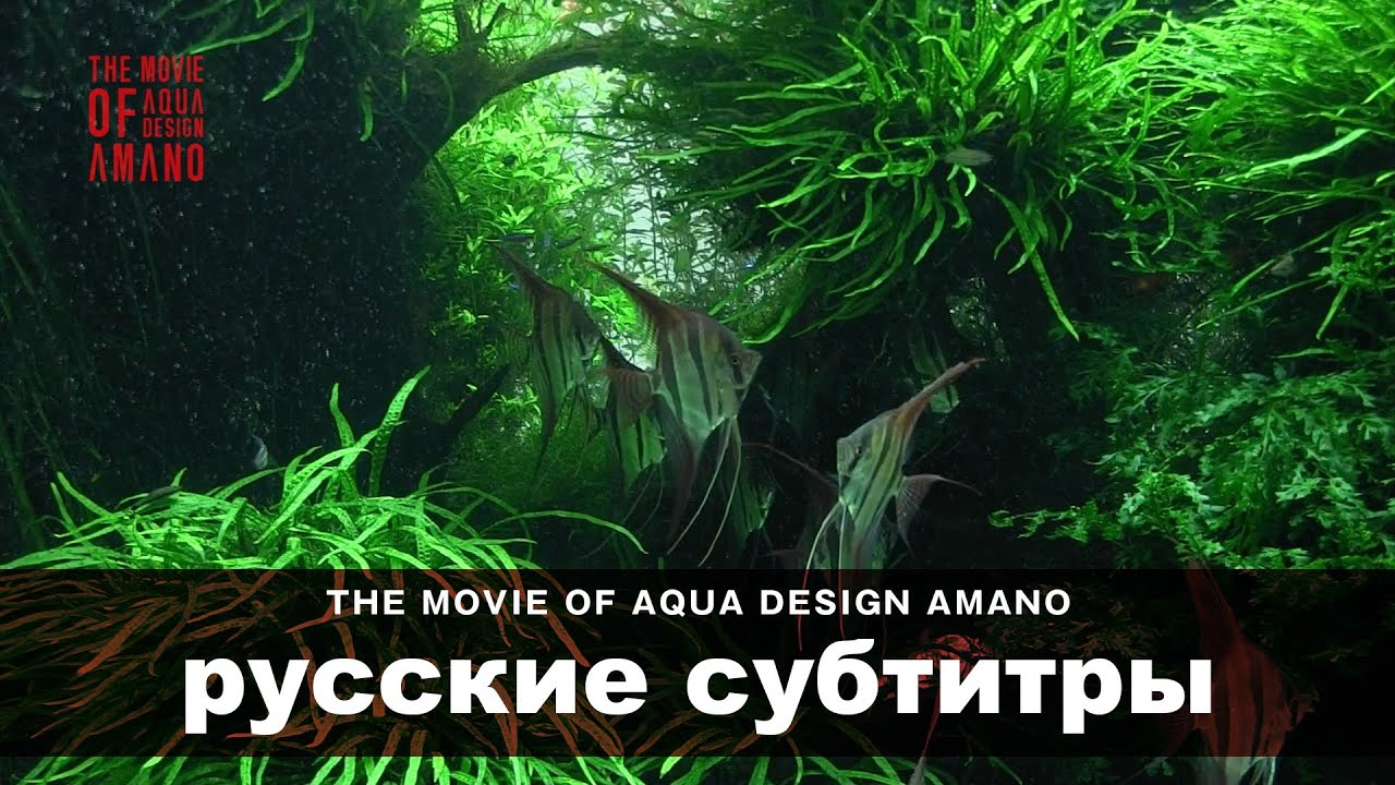 Aquamanaページ Aquaman - MTO (Designed by ZEZ Studios) – RelentlesStorm Models