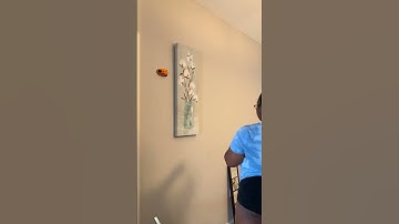 How to easily hang up level pictures #laserlevel #apartmentdecor #apartmentdesign #homedesign