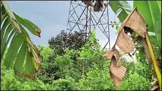 Download Lagu Horrible...! Suddenly it rained accompanied by strong winds, a tornado appeared before our eyes, ... MP3