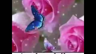 Beautiful Jummah dua and message for all my subscribers