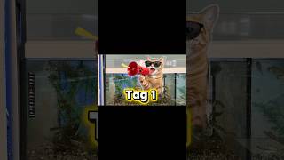 Tag eins und ich ziehe einen Flussbarsch!! #tag1 #dailyvlog #verwandlung 