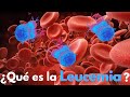 ¿Qué es la Leucemia?