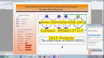 Dominating Set and Network Coding based Routing in Wireless Mesh Networks