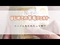 ニードルわたわたとは？【羊毛フェルト初心者さん向け】