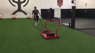 Squat to Row (sled)