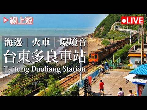 【公視LIVE直播】台東多良車站 即時影像 (畫面提供:台東觀光旅遊網) | 台灣風景 | 放鬆 | 療癒 | 現場音 | Taitung Duoliang Station Live Camera
