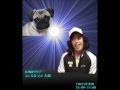 人生変えちゃう犬かもね 前編(1/3)