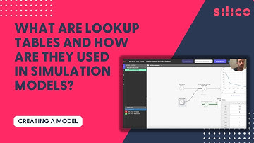 What are Lookup Tables and How Are They Used in Simulation Models?