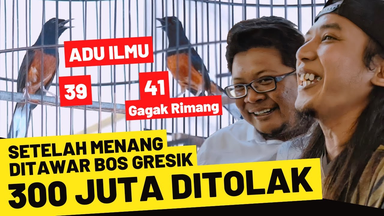 Jadi 300 Juta Setelah Menang Simulasi Juri SKN YouTube Jadi 300 juta setelah menang simulasi juri skn youtube