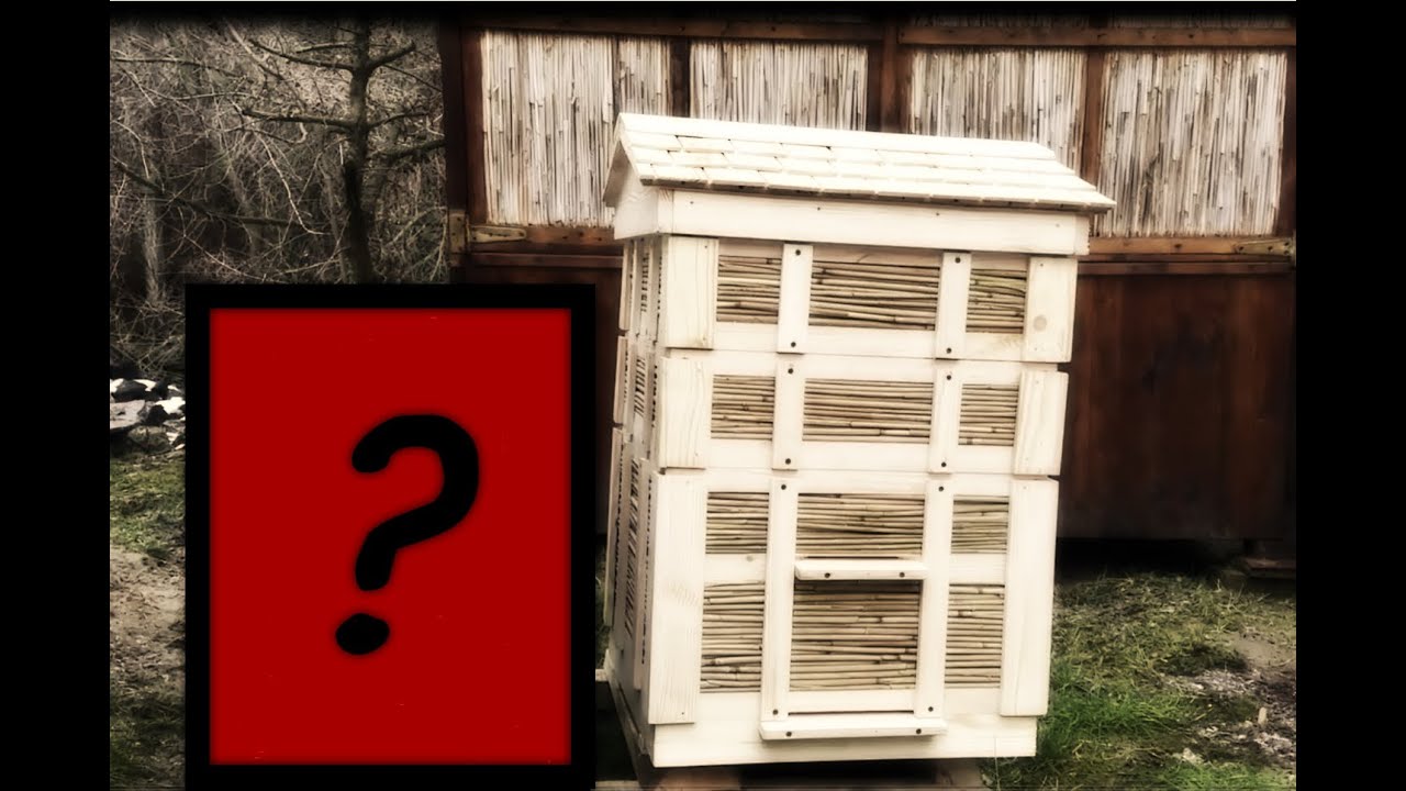 Что случилось с ульем из камыша через 5 лет