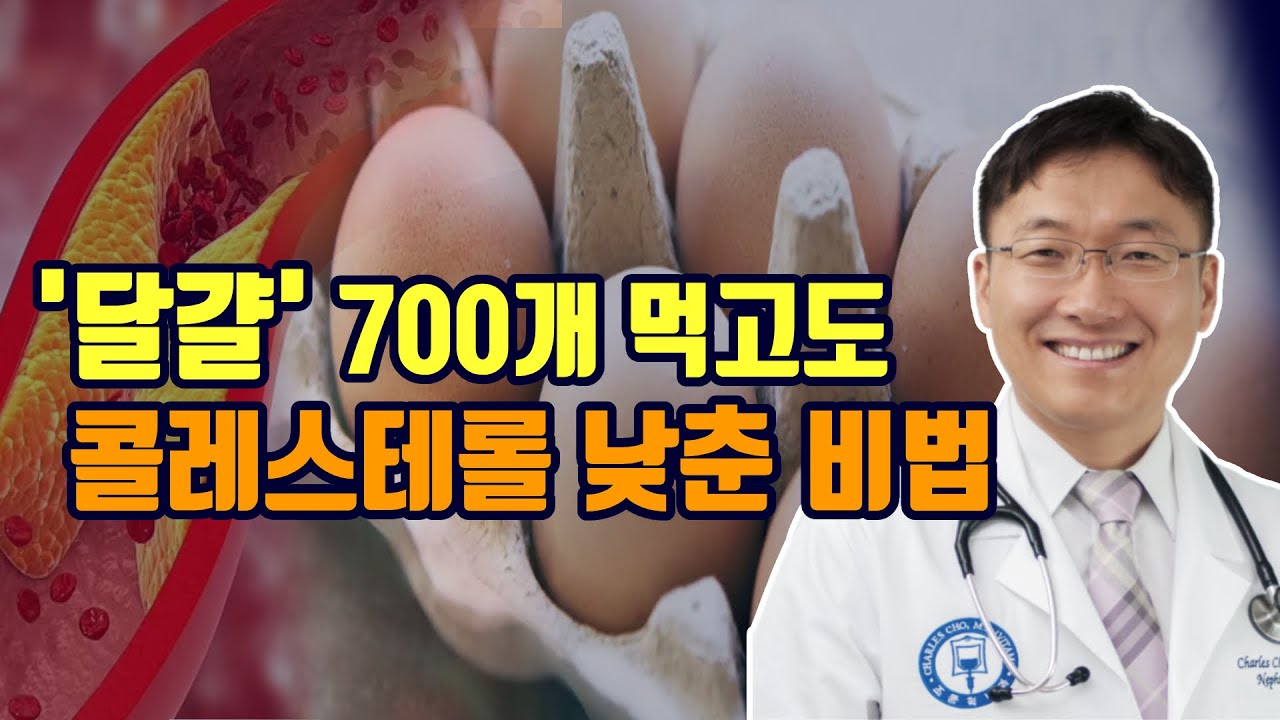 한달에 달걀 700개 먹고 콜레스테롤은?? (하버드 의대생 실험)