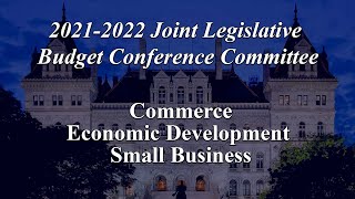 NYS Legislature Joint Budget Subcommittee on Commerce & Economic Development - 03/17/21